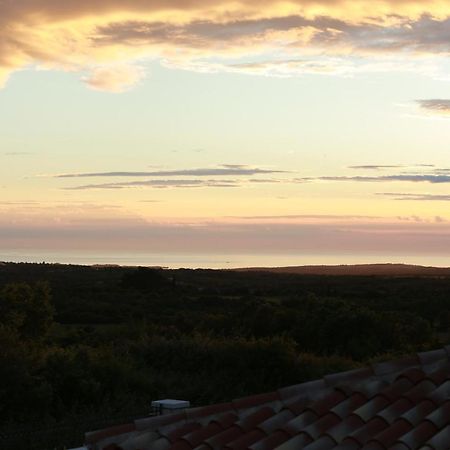 Villa Carolus-Luxurious Istrian Villa Барат Экстерьер фото