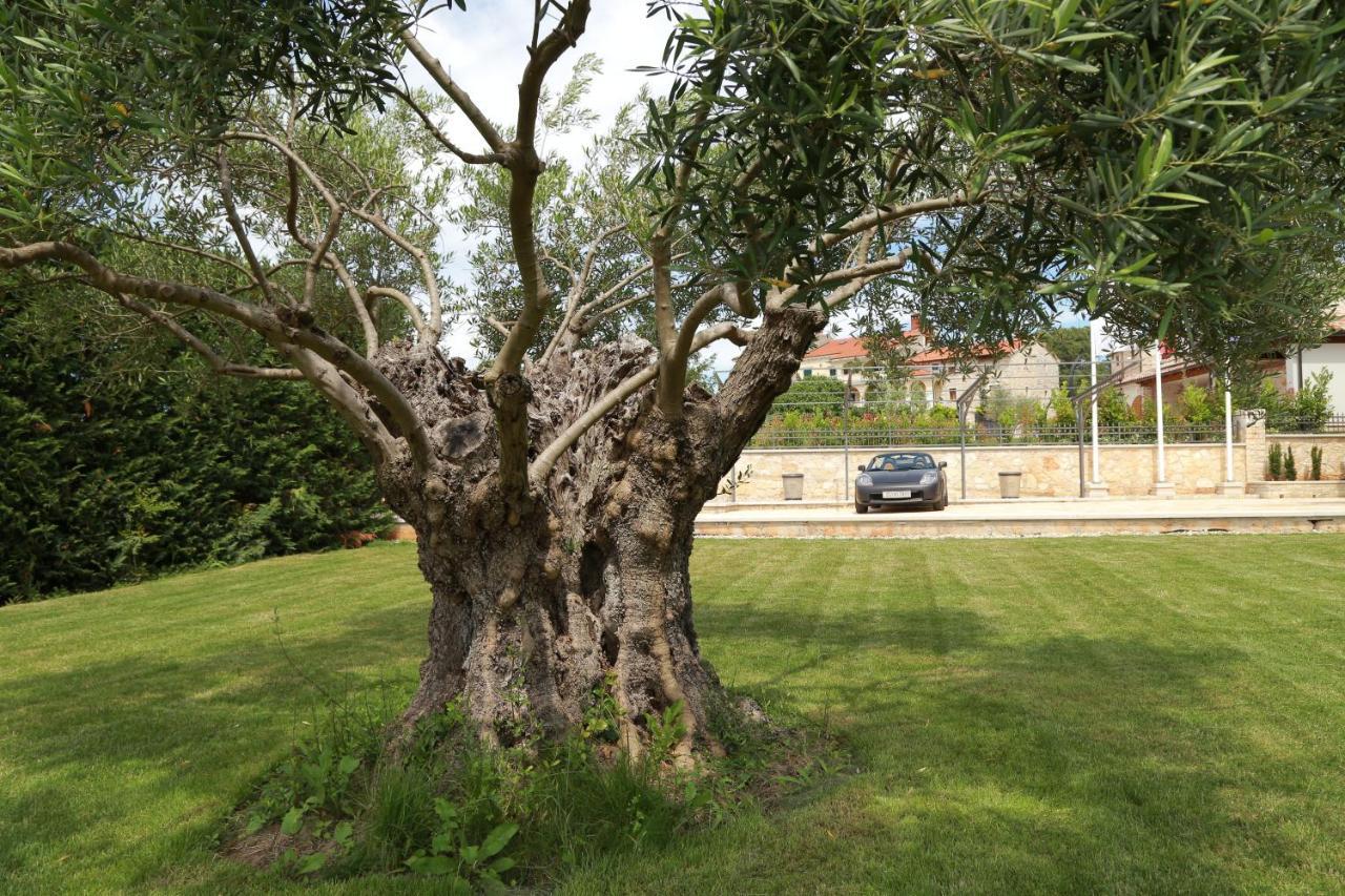 Villa Carolus-Luxurious Istrian Villa Барат Экстерьер фото