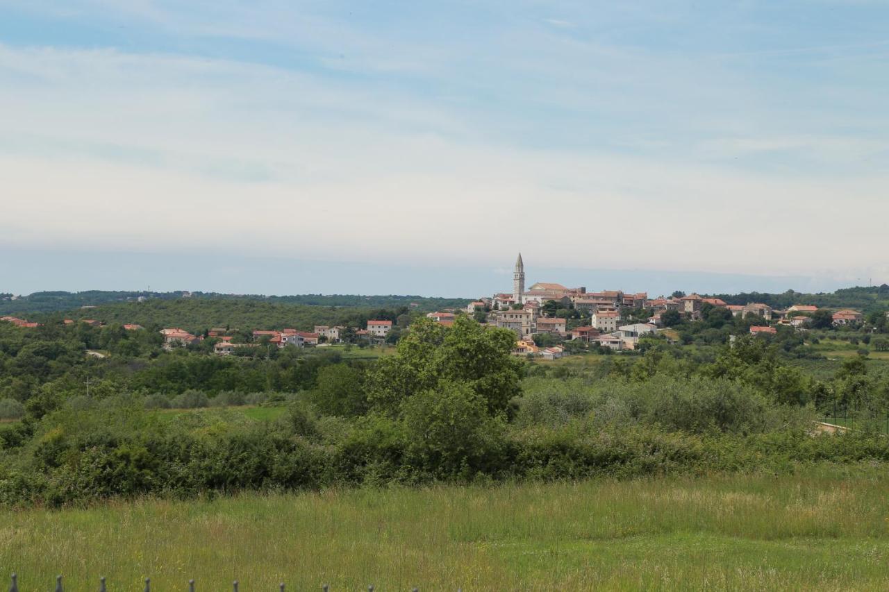 Villa Carolus-Luxurious Istrian Villa Барат Экстерьер фото